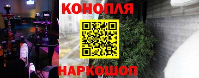 гидропоника Кунгур