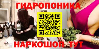 гидропоника Кунгур